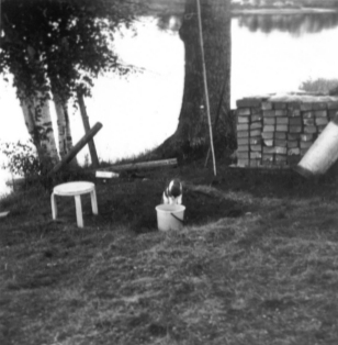 Eine Katze auf einer Insel in dem Fluss Oulu-Joki in Finnland. Foto: Erwin Thomasius. 1967.