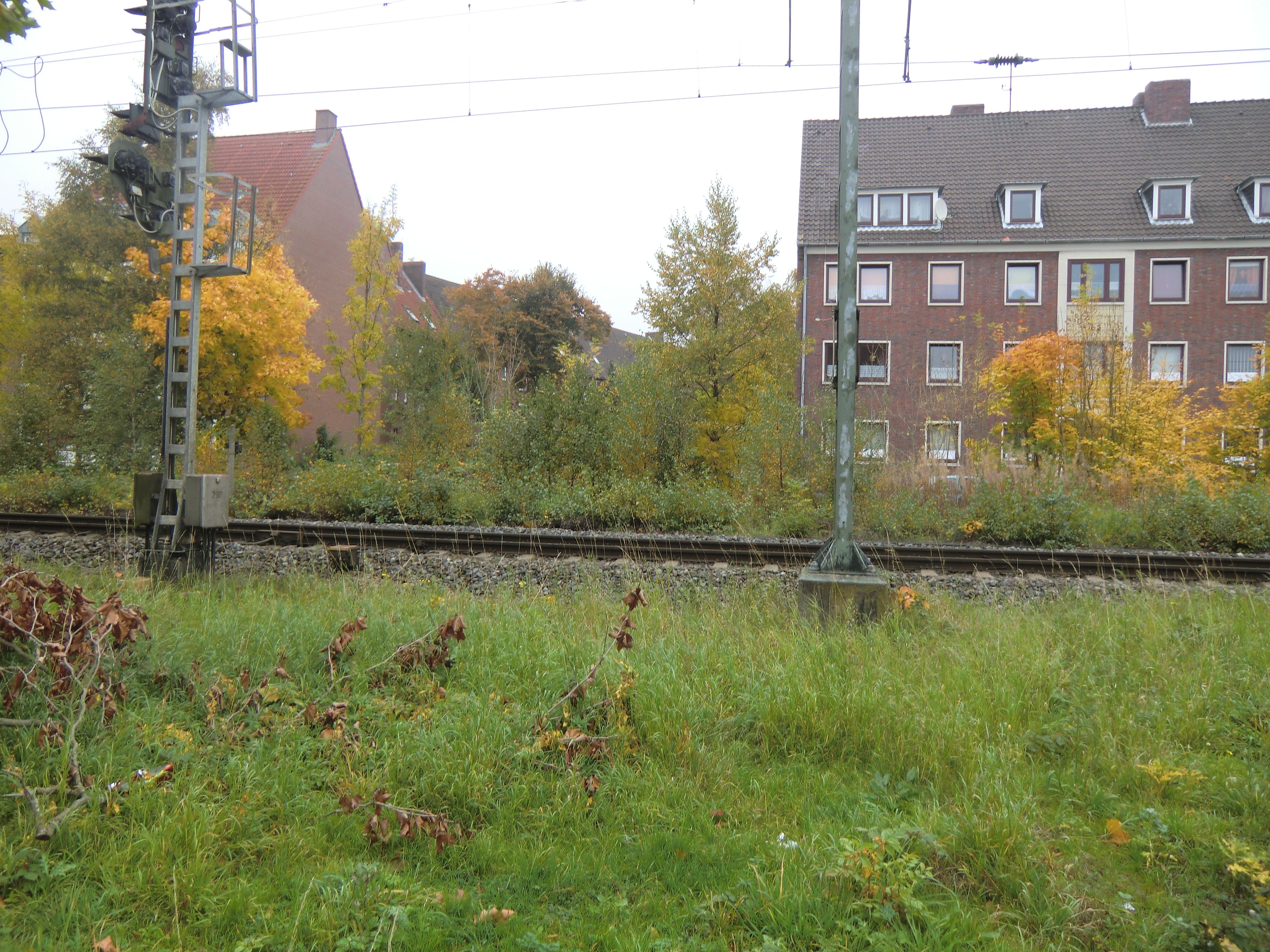 Farbfoto: Blick über die Eisenbahnlinie, die aus Richtung Leer rechts vom Bild nach Emden Hauptbahnhof links vom Bild führt. Hinter den Eisenbahnschienen im Bildhintergrund die Fürbringerstraße. In Emden im Oktober des Jahres 2012. Foto: Erwin Thomasius.