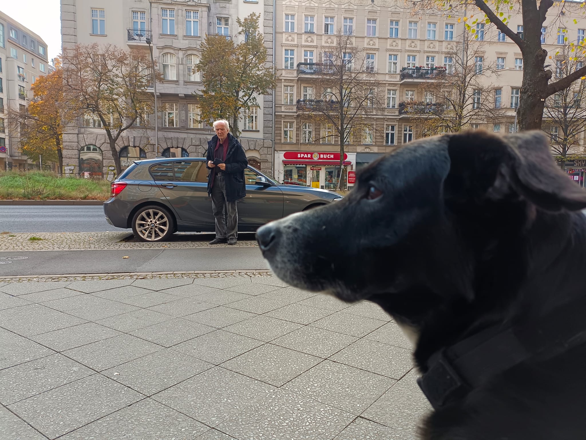 Farbfoto von einem Hund, einem alten Mann, und einem Geschäft für gebrauchte Bücher in der Frankfurter Allee in Friedrichshain. Im Oktober 2024. Fotograf: Ralf Splettstößer.