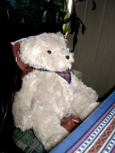 Der Teddybär Fritz im Indischen Restaurant Indian Palace in der Hermannstraße in Neukölln in Berlin am 19. Mai 2005. Photo: Kim Hartley.